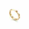 ring-2-3@1x-pichi